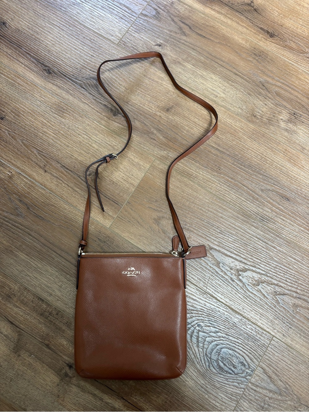 Coach Lyla Leather Crossbody Purse
